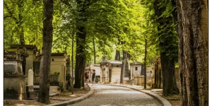 Visiter Paris : cimetière Père Lachaise, une allée ombragée