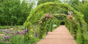 Visiter l'Eure-et-Loir : jardins et abbatiale de thiron-gardais